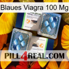 Blue Viagra 100 Mg viagra5